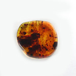Plastic  Bead - Mixed Color Smooth Flat Abstract 25MM ITALIAN AMBER