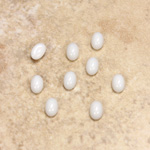 Glass Medium Dome Opaque Cabochon - Oval 06x4MM CHALKWHITE