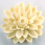 Plastic Carved No-Hole Flower - Water Lily 50MM MATTE LIGHT IVORY