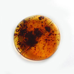 Plastic  Bead - Mixed Color Smooth Flat Round 30MM ITALIAN AMBER