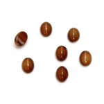 Glass Medium Dome Cabochon - Oval 07x5MM CAT'S EYE BROWNHORN