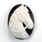 Plastic Cameo - Horse Head with Bridle Oval 40x30MM WHITE ON BLACK