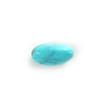 Plastic  Bead - Mixed Color Smooth Beggar 22x11MM TURQUOISE MATRIX