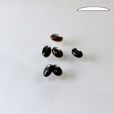 Shell Flat Back Cabochon - Oval 06x4MM BLACK TAHITI PEARL