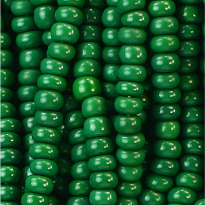 Preciosa Czech Glass Seed Bead - Round 11/0 MED GREEN 53240