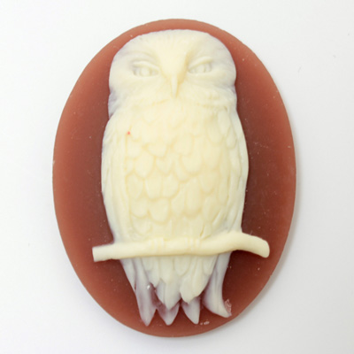 Plastic Cameo - Owl on a Branch Oval 40x30MM IVORY on DARK CORNELIAN