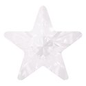 Aurora Crystal Point Back Fancy Stone Foiled - Star 10MM WHITE OPAL #0203