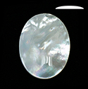 Shell Flat Back Cabochon - Oval 40x30MM WHITE MOP with Epoxy coated top