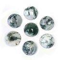 Gemstone Cabochon - Round 11MM TREE AGATE Natural (B Quality)