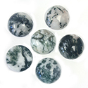 Gemstone Cabochon - Round 13MM TREE AGATE Natural (B Quality)