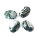 Gemstone Cabochon - Oval 14x10MM TREE AGATE Natural (B Quality)
