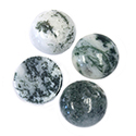 Gemstone Cabochon - Round 15MM TREE AGATE Natural (B Quality)