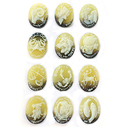 Plastic Cameo - Zodiac Series Oval 18x13MM IVORY ON TORTOISE SHELL (2 tone) Sold as 12 assorted