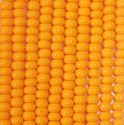 Preciosa Czech Glass Seed Bead - Round 06/0 TANGERINE 93110