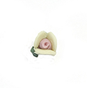 Ceramic Flat Back Flower - Rose 08MM YELLOW with PINK