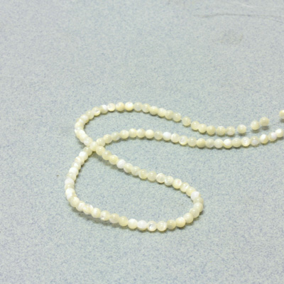 Shell Bead - Smooth Round 03MM WHITE TROCHUS