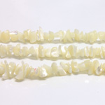 Shell Bead - Chip Baroque WHITE TROCHUS