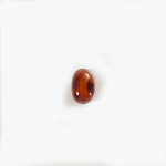 Plastic  Bead - Mixed Color Smooth Oval 12x8MMTOKYO TORTOISE