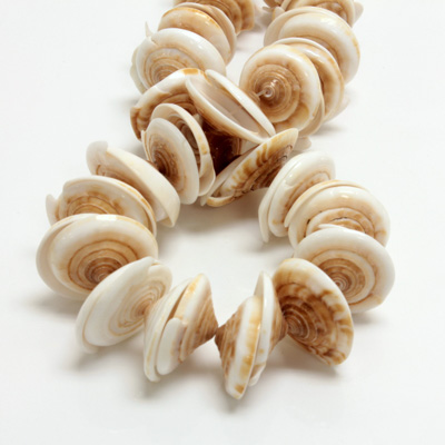 Shell Bead - Irregular Cut Sliced CONUS HEAD SHELL