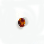 Plastic  Bead - Mixed Color Smooth Flat Oval 12x10MM TORTOISE