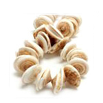 Shell Beads